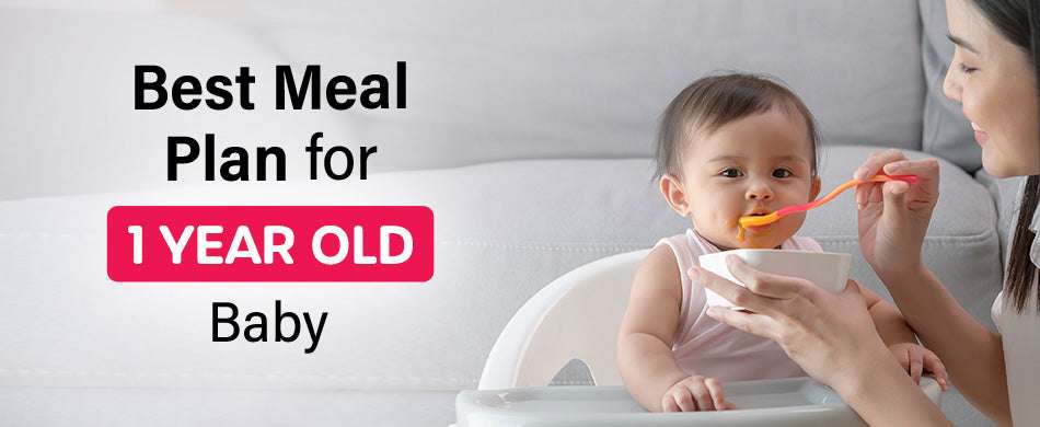 Best Meal Plan For 1 Year Old Baby